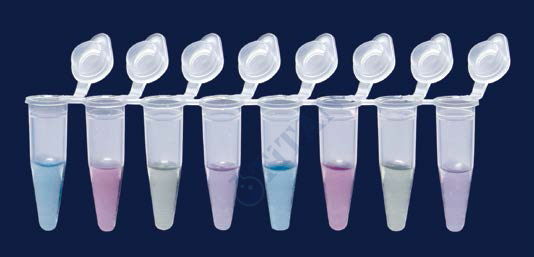 ISOLAB - 123.01.028 PCR şeriti - monteli düz kapaklı - 8 x 0,2 ml tüp şeriti (12 adet / paket)