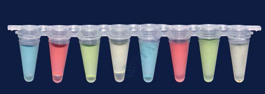 ISOLAB - 123.02.018 qPCR şeridi - şeffaf - demonte düz kapaklı - 0,2 ml (12 adet / paket)
