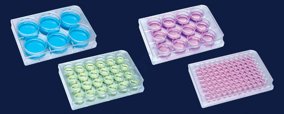 ISOLAB - 122.11.006 plak - hücre kültürü - düz kuyulu 3 ml (100 adet / paket)