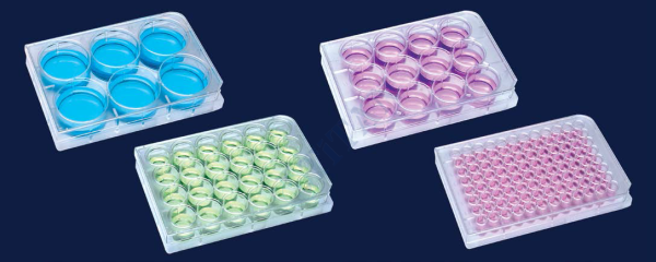 ISOLAB - 122.11.012 plak - hücre kültürü - düz kuyulu 2 ml (100 adet / paket)