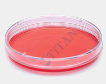 ISOLAB - 120.13.090 petri kutusu - hücre kültürü için - 90 mm çap (500 adet / paket)