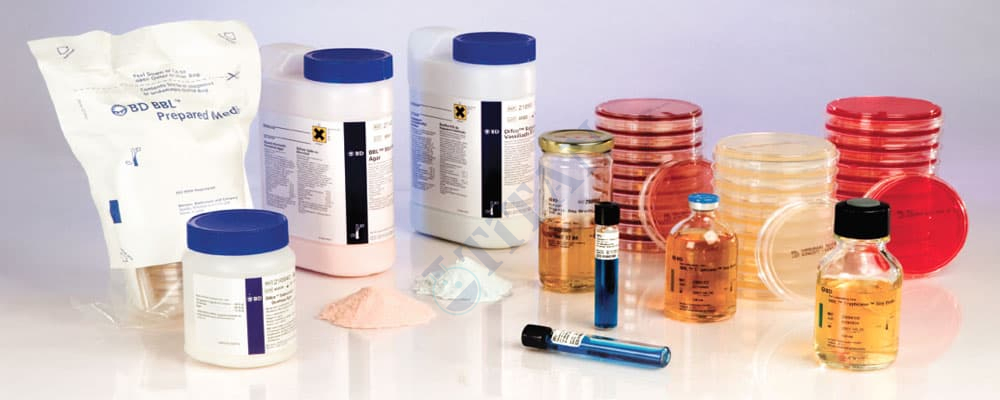 OR-BAK - OR-BYA 13 A / KİNYOUN CARBOL FUCHSİN 100ML Ambalaj: 1 ŞİŞE