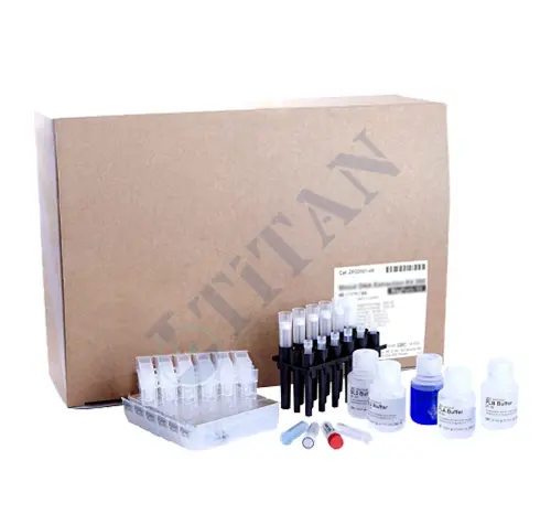 BIOSAN - BioMagPure 12 Plus için Reaktifler