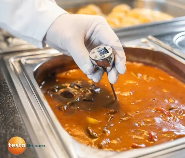 TESTO - Saplama Tip Termometre IP67 -20… +230 °C