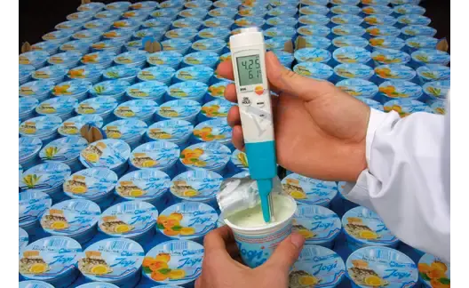 TESTO - 206 pH2 Kıvamlı ve Yarı Katı Maddeler için pH ve Sıcaklık Ölçer IP68 0… 14 pH / 0,01 pH | 0… +60 °C / 0,1 °C